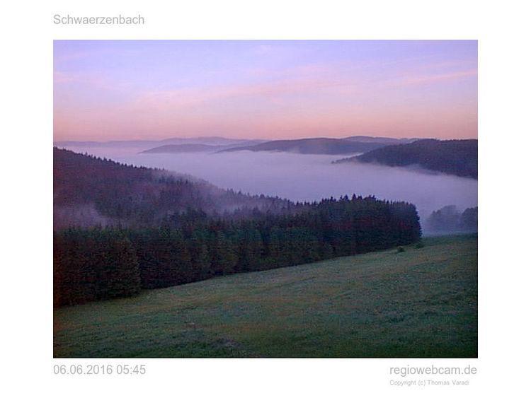 Pension Forsthaus Taele - Das Gaestehaus Vom Schwarzwaldgasthaus Salenhof 蒂蒂湖-新城 外观 照片