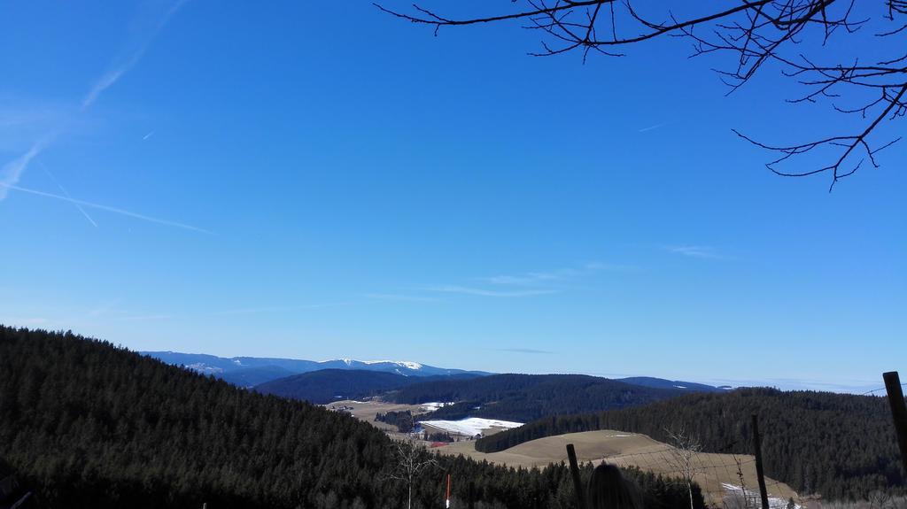 Pension Forsthaus Taele - Das Gaestehaus Vom Schwarzwaldgasthaus Salenhof 蒂蒂湖-新城 外观 照片