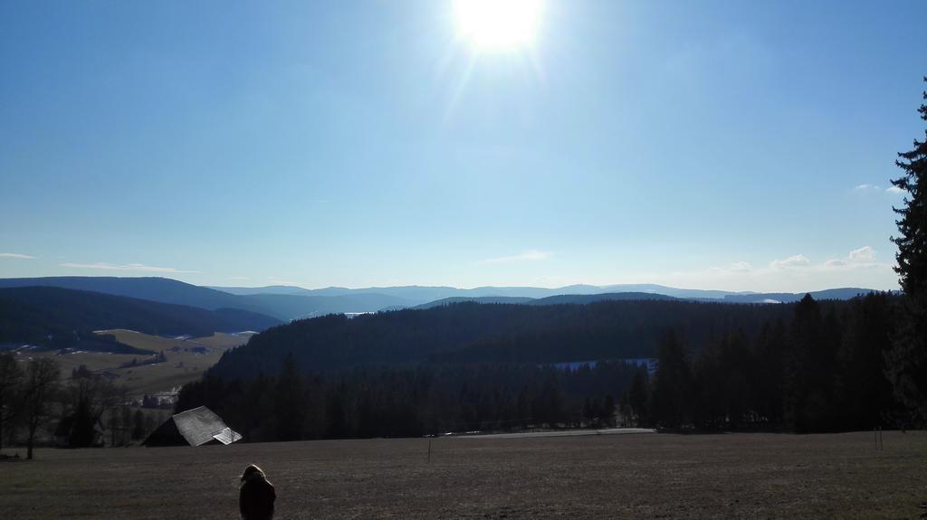 Pension Forsthaus Taele - Das Gaestehaus Vom Schwarzwaldgasthaus Salenhof 蒂蒂湖-新城 外观 照片