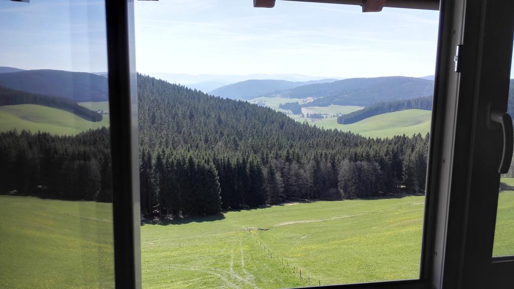 Pension Forsthaus Taele - Das Gaestehaus Vom Schwarzwaldgasthaus Salenhof 蒂蒂湖-新城 外观 照片
