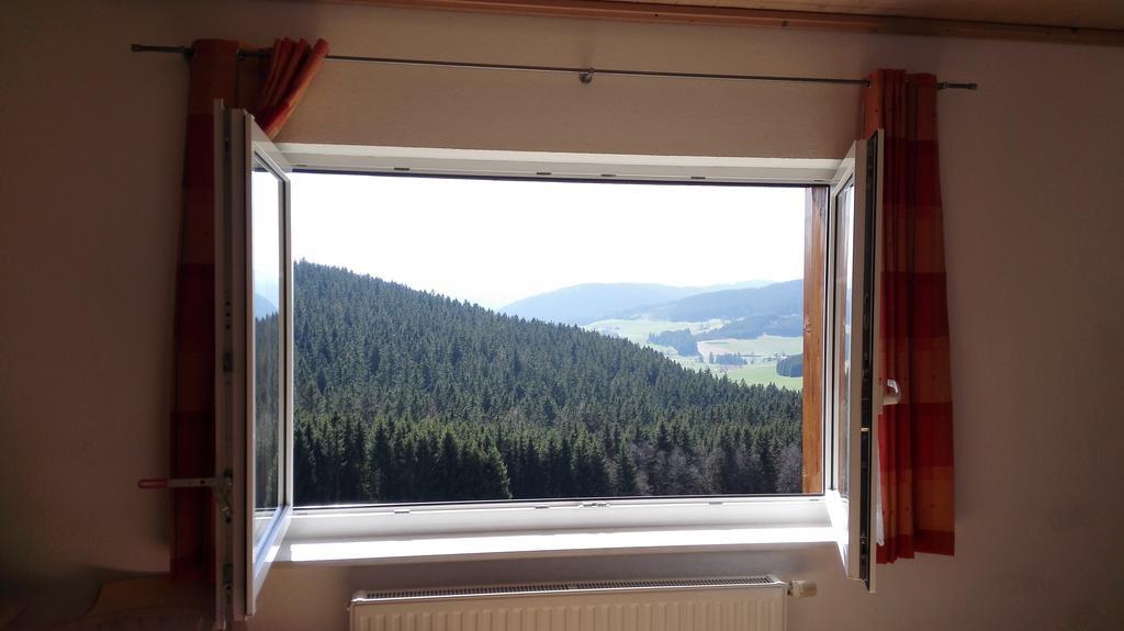 Pension Forsthaus Taele - Das Gaestehaus Vom Schwarzwaldgasthaus Salenhof 蒂蒂湖-新城 外观 照片