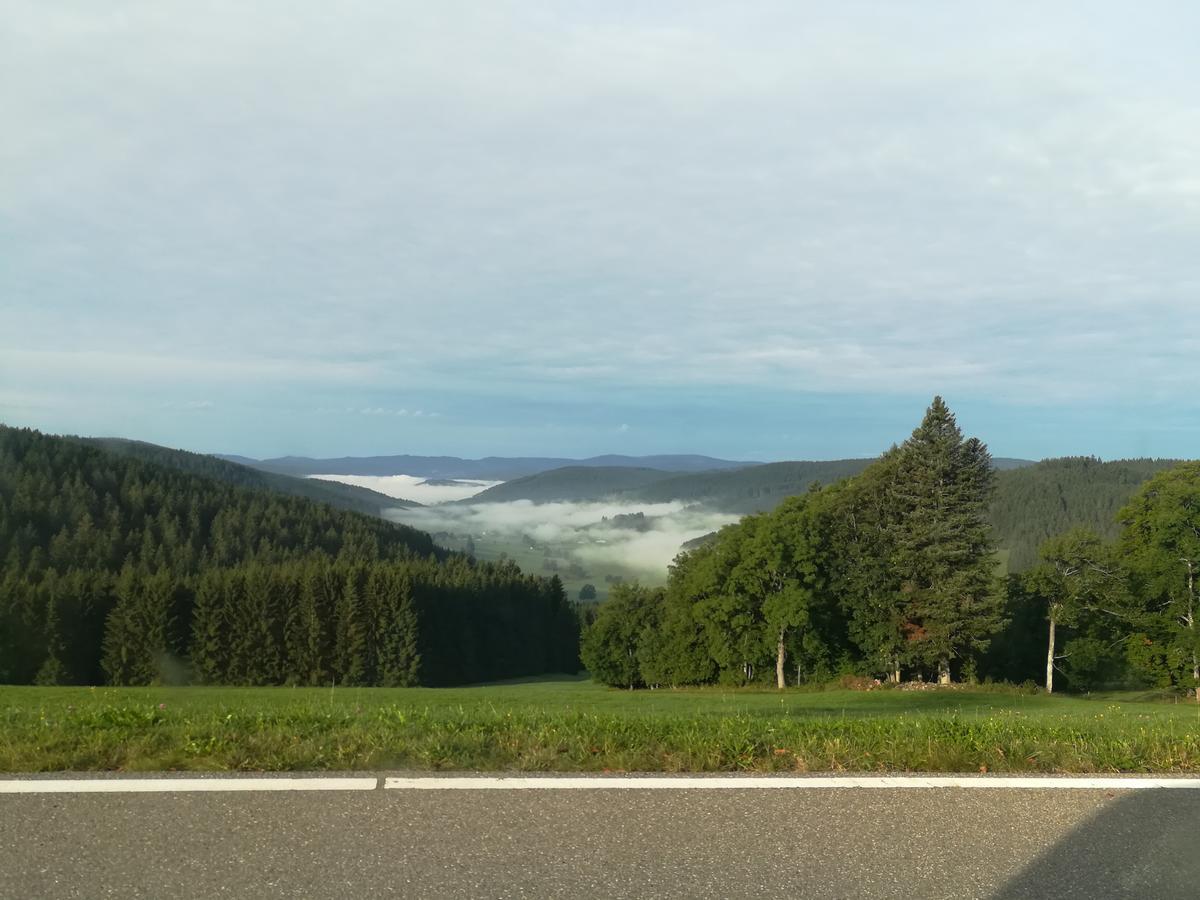 Pension Forsthaus Taele - Das Gaestehaus Vom Schwarzwaldgasthaus Salenhof 蒂蒂湖-新城 外观 照片