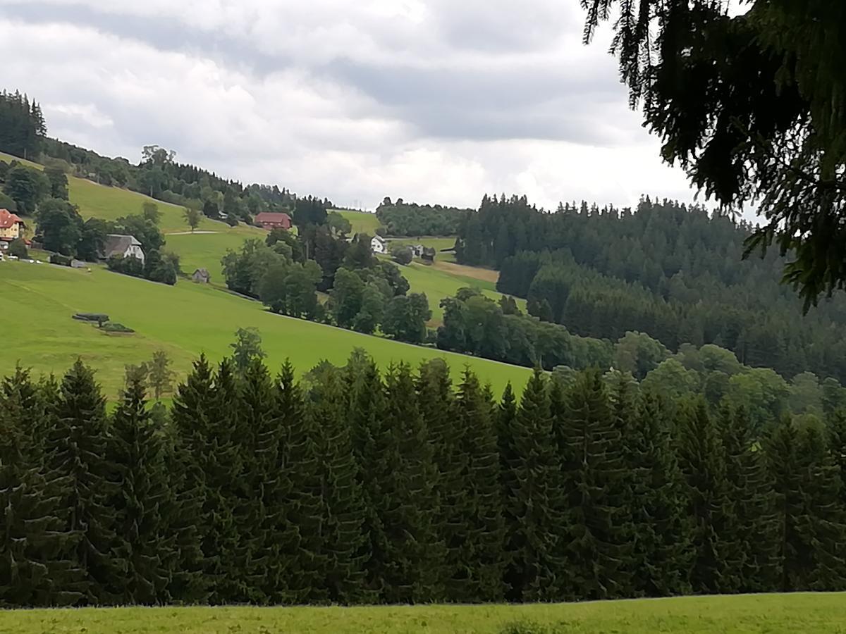 Pension Forsthaus Taele - Das Gaestehaus Vom Schwarzwaldgasthaus Salenhof 蒂蒂湖-新城 外观 照片