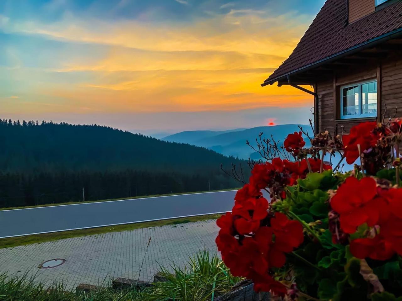 Pension Forsthaus Taele - Das Gaestehaus Vom Schwarzwaldgasthaus Salenhof 蒂蒂湖-新城 外观 照片